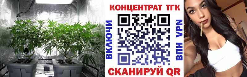 ТГК концентрат  магазин продажи   Кубинка 