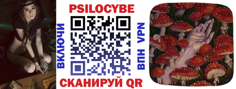Галлюциногенные грибы Psilocybine cubensis  Кубинка 