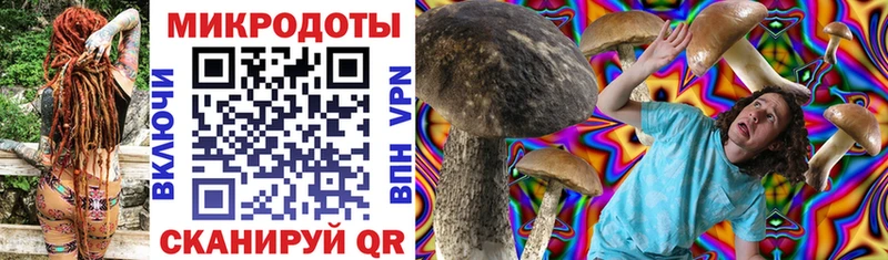 Псилоцибиновые грибы мухоморы Кубинка